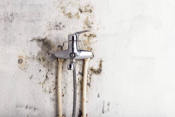 Best Mold Testing  in Unionville, MO