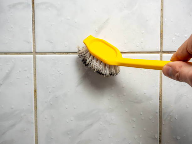Office Mold Removal Services in Unionville, MO